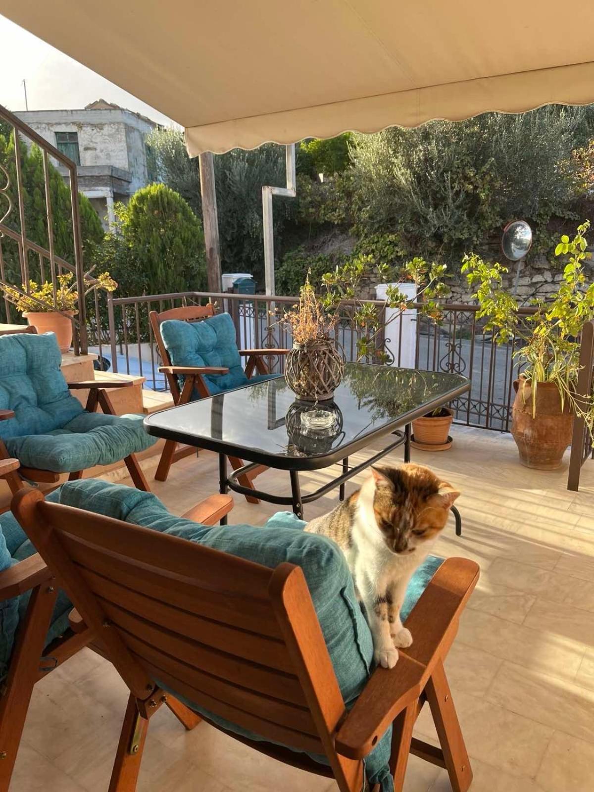 הוילה Kotsianá Achilleas Deluxe Αpartment -Pet Friendly-Parking-Mountain View מראה חיצוני תמונה